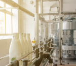 Major Fluid Milk Processing and Packaging Plant