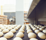 450,000 SqFt Bakery Dough Production Plant - Day 1