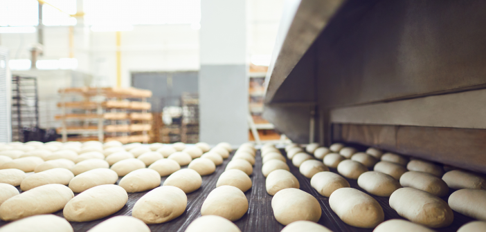 450,000 SqFt Bakery Dough Production Plant - Day 1