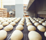 450,000 SqFt Bakery Dough Production Plant – Day 2