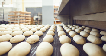 450,000 SqFt Bakery Dough Production Plant – Day 2