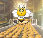 Honey Bee Bakers