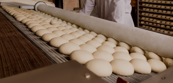 Packed Bakery Food Producer