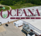 Oceana Foods to Begin Asset Sale Process